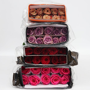 Rosa Rosa Fresca Premium All'ingrosso, Rosa Fresca Tagliata, Centro Floreale DouNan, Bouquet, Beloved Express, Attraverso i Miei Sogni - Product Image 4