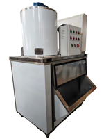 Machine à glace en flocons marine anti-corrosion de 5 tonnes pour la conservation des prises de pêche en mer