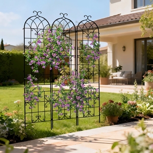 <span class=keywords><strong>Treillis</strong></span> de jardin <span class=keywords><strong>pour</strong></span> <span class=keywords><strong>plantes</strong></span> <span class=keywords><strong>grimpantes</strong></span>, <span class=keywords><strong>treillis</strong></span> <span class=keywords><strong>en</strong></span> métal antirouille <span class=keywords><strong>pour</strong></span> fleurs et roses, extérieur - Product Image 6