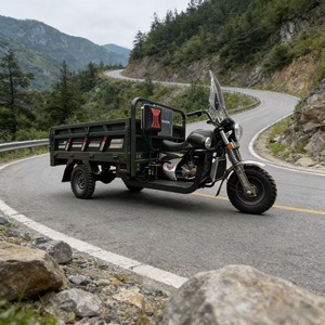 Motocicleta de Carga de 3 Ruedas, 150cc, Gasolina, Refrigerada por Agua, 4 Tiempos, Carrocería Abierta, Frenos de Disco, Neumáticos de Banda Profunda, 1000kg, <span class=keywords><strong>Precio</strong></span> Económico, Nigeria - Product Image 2