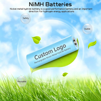 Piles rechargeables AA AAA haute capacité AA 2800mAh & AAA 1100mAh 1.2V NiMH à faible autodécharge, logo personnalisé