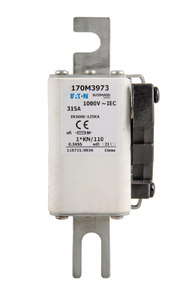 VAHLE 1569228 KDST 200/25 PE170322 Bussmann FUSE Fusión rápida 170M8640 170M8641 170M8642 Seguro inversor - Product Image 4