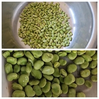 Ventes directes d'usine machine à éplucher les fèves humides de haute qualité edamame éplucheur décortiqueur de pois