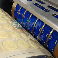 Skywin Machine à Rouleaux Rotatifs Sur Mesure pour le Formage de Biscuits sur Ligne de Production Automatique