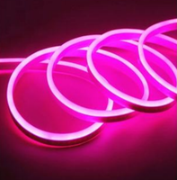 Bande lumineuse LED flexible 12V/24V étanche série NEON, matériau écologique, lumière néon colorée 2835-120LED, couleurs uniques