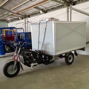 Tricycle frigorifique tout-terrain personnalisable OEM populaire en Afrique, moto cargo frigorifique à trois roues à essence - Product Image 5