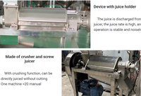 Extracteur de jus industriel motorisé en acier inoxydable 304 pour fruits et légumes, avec lame réglable, haute sécurité, 1,5 kW