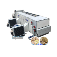 Machine de production de poudre de gingembre séché au four pour ail, patate douce et gingembre