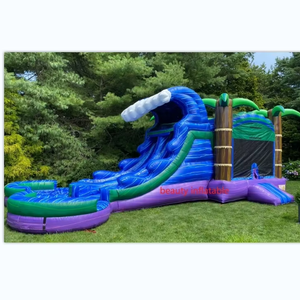 Thương mại ướt khô nhảy bouncy thư bị trả lại Nhà trượt nước kết hợp hai làn nhiệt đới bơm hơi lâu đài <span class=keywords><strong>Combo</strong></span> để bán - Product Image 1