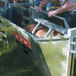 Cage de manipulation robuste en acier inoxydable pour moutons et chèvres, attrapeur professionnel de bétail pour fermes d'élevage - Product Image 6