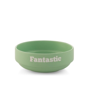 Tazza in Ceramica Verde 13 Cm con Scritta Fantastica - Product Image 1