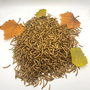 Vermi della farina essiccati ad alto contenuto proteico per uccelli cani pescano criceti e altro ancora-dolcetti per animali domestici con vitamine e minerali - Product Image 6