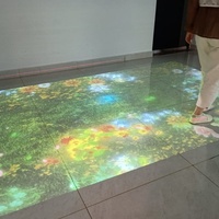 Sistema de Proyección Interactiva en el Suelo, Pantalla Publicitaria 3D, Proyector de Piso Móvil Interactivo