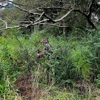 Combinaison de camouflage hybride 3D en polyester pliable pour la chasse, le tir, la pêche et l'observation des oiseaux en plein air