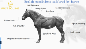 Baru 7Tesla Pemf intensif tinggi tikar Loop magnetoterapi rehabilitasi fisik perangkat Terapi magnetik kuda - Product Image 2