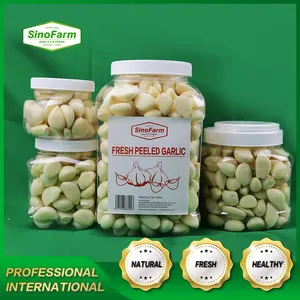 New Arrival Fresh Peeled Garlic Clove Supply From China Peeled Garlic Factory For 15 Years' Peeled Garlic Manufacturer