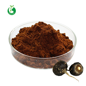 Polvo de extracto de raíz de <span class=keywords><strong>Maca</strong></span> negra, precio al por mayor - Product Image 1