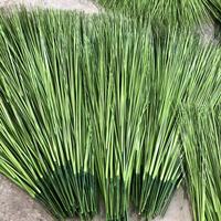 Vente en gros de plantes artificielles en roseau, décoration intérieure nordique INS, plantes artificielles d'intérieur, plantes décoratives de bureau