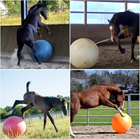 Balle d'exercice pour chevaux-Jouet d'entraînement gonflable en PVC, favorise le mouvement du cheval et le soulagement du stress, interaction multi-scènes