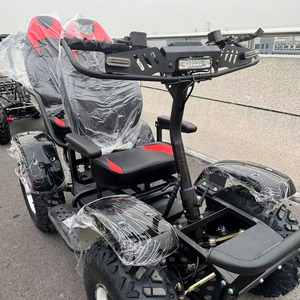 Scooter Eléctrico Todoterreno de Dos Plazas, Modelo de 6000W con Motor Potente para Aventuras al Aire Libre - Product Image 1