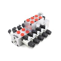 Vanne sectionnelle proportionnelle électrique à 5 bobines DCV56 personnalisable - Fabricant hydraulique et solutions OEM