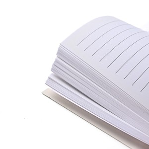 Quaderno <span class=keywords><strong>a</strong></span> <span class=keywords><strong>Spirale</strong></span> A6 con Copertina Morbida Bianca e Stampa di Dinosauri, Carta <span class=keywords><strong>a</strong></span> <span class=keywords><strong>Righe</strong></span> di Alta Qualità per Disegni Quotidiani e Scuola dei Bambini - Product Image 6