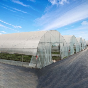 <span class=keywords><strong>Serre</strong></span> <span class=keywords><strong>Tunnel</strong></span> Agricole Monochapelle Économique pour Pépinière avec Ancrage par Tuyaux Circulaires, Marque Bafangle - Product Image 4