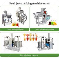 Sap Proces Mangopulper Tomatenpuree Despulpadora De Fruta Persimmon Jam Maken Fruitpulp Machine