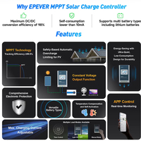 Controlador Solar USA Stock Tracer de 20A, 30A, 40A, 12V, 24V con Reconocimiento Automático, Entrada de CC de 100V, Medidor MT52 RS485