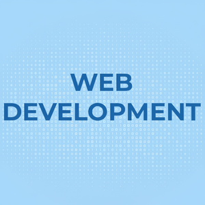 Fournir des services de développement Web avancés pour la création d'un site Web pour les grossistes d'accessoires automobiles à un prix abordable - Product Image 1