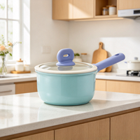 Casserole en céramique premium avec revêtement émaillé, pot de cuisson pour aliments pour bébés, pot à soupe individuel, compatible avec toutes les plaques de cuisson