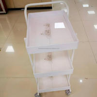 Chariot de manucure et pédicure en métal ABS pour le rangement et le transport d'outils de manucure
