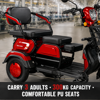 Tricycle électrique pour adultes, scooter à 3 roues, batterie au plomb-acide 60V 20Ah, écran LCD, pneus à vide 300-8, mobilité pour personnes âgées