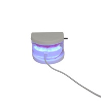 Vente en gros, mini blanchiment dentaire étanche, lampe à LED pour téléphone Android iPhone, chargement USB, plateau de blanchiment des dents