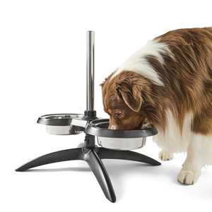 Soporte Elevado para Comederos de Perros, Alta Calidad, 2 Acero Inoxidable, Nuevo, Fabricado en Vietnam, Altura Ajustable, para Perros Medianos y Grandes - Product Image 3