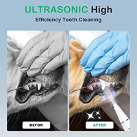 Lunata C16M Ultraschall-Zahnreiniger für Hunde und Katzen Elektrisches Zahnreinigungswerkzeug 3 Modi Zahnsteinentferner-Set Edelstahl
