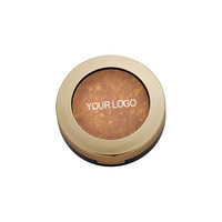 Marque privée Poudre végétalienne Surligneur Multicolore Mat Peau Corps Contouring Crème solaire Enrichi à base de minéraux Fairy Shimmer