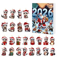 Calendrier de l'Avent en Acrylique avec Boîte Mystère, Ornement Bonhomme de Neige, 24 Jours de Surprises, Breloque, Cadeau de Noël, 14+ Boîte Avion