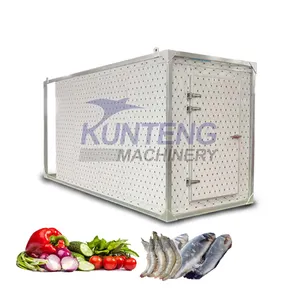 孟加拉国食品冷冻室仓库冷藏室单元空气冷却器