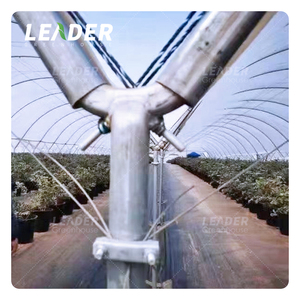 Invernadero agrícola <span class=keywords><strong>de</strong></span> <span class=keywords><strong>fresa</strong></span> comercial BlackBerry Blueberry Caterpillar polytunnel invernadero marco <span class=keywords><strong>de</strong></span> metal para frambuesas - Product Image 6