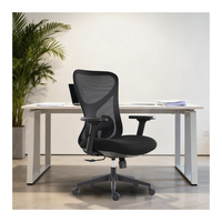 Silla de Oficina Ergonómica Moderna y Ajustable de Malla para Uso en Administraciones, Oficinas en Casa, Escuelas y Hospitales