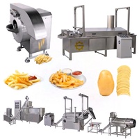 Groothandel Directe Verkoop Automatische Aardappelchips Productielijn Diepvries Frietenmachine
