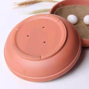 Tổ Nhựa Cho Tổ Chim Bồ Câu Và Chim Bồ Câu - Product Image 6