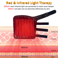 Grande taille, 192 LED, 660nm 850nm, coussin de thérapie par lumière rouge pour chevaux, pour soulager les douleurs aux hanches et aux jambes des chevaux