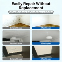 Revêtement imperméable anti-infiltration puissant et résistant à l'humidité pour la réparation des surfaces de refoulement et des fuites des murs et plafonds de sous-sol