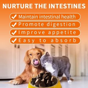 Probióticos Masticables Suaves Personalizados <span class=keywords><strong>al</strong></span> por Mayor para Mascotas, Probióticos para la Digestión y la Salud Intestinal en Perros y Gatos OEM ODM - Product Image 6