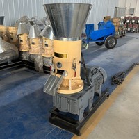 Machine à granulés de bois biomasse, presse à sciure de bois, machine à granulés de sciure de bois granulaire