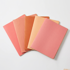 Carpeta de Papel Plegable Personalizada con Impresión, Color Rosa Coral, Laminado Mate, Papel Plateado, Logotipo Gratuito, OEM, ODM, Directo de Fábrica - Product Image 3