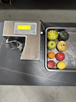 Automatische desktop fruitenschilmachine, kleine commerciële elektrische sinaasappel- en appelschiller voor restaurants en juice shops, van roestvrij staal