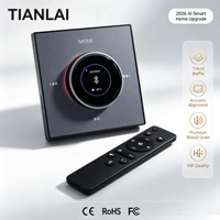 Tianlai 86K Tipi Bluetooth Müzik Kontrol Cihazı 4x30W, Açılış Hoş Geldiniz Mesajlı, Otel Misafir Odası İçin Özel Ses Paneli, Toptan Satış